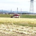 10月　稲刈り風景