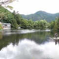 Photos: 金鱗湖・由布院