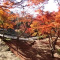 Photos: 竈門神社へ3