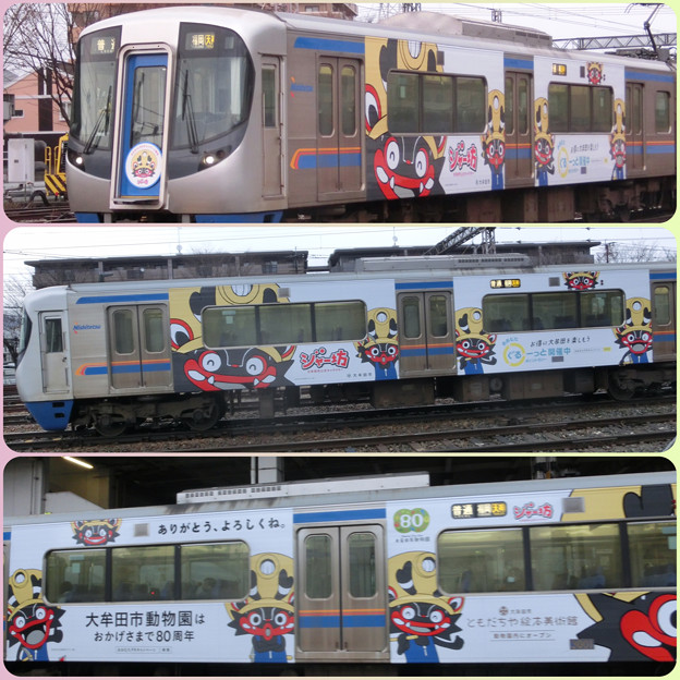 Photos: 西鉄ラッピング電車