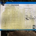 Photos: 小金井桜樹碑・説明板