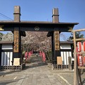遊行寺・惣門