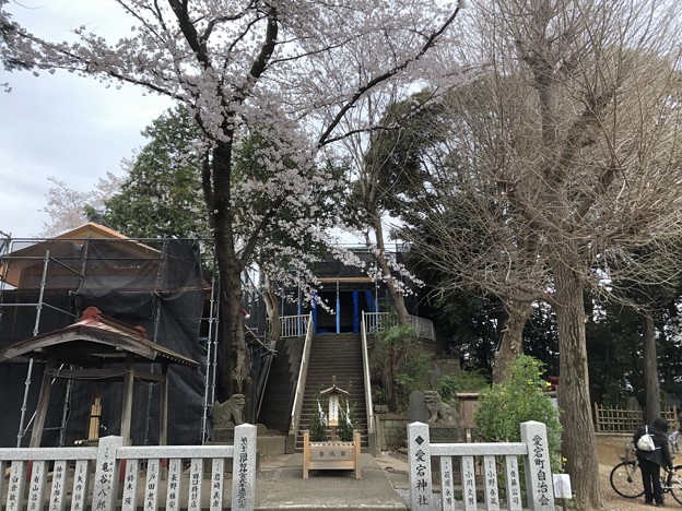 Photos: 3月_愛宕神社 2