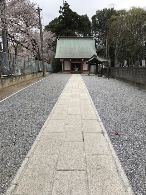 3月_諏訪神社 2