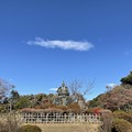 Photos: 12月_源氏山公園 1