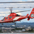 Photos: 名古屋市消防航空隊 エアバスヘリコプターズ AS365N3 Dauphin2 JA08AR ひでよし IMG_6769-2