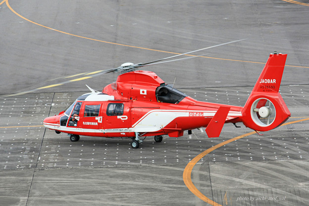 名古屋市消防航空隊 エアバスヘリコプターズ AS365N3 Dauphin2 JA08AR ひでよし IMG_6853-2