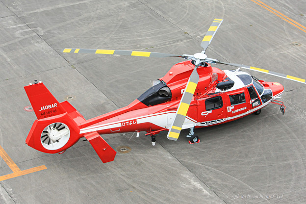 名古屋市消防航空隊 エアバスヘリコプターズ AS365N3 Dauphin2 JA08AR ひでよし IMG_6807-2