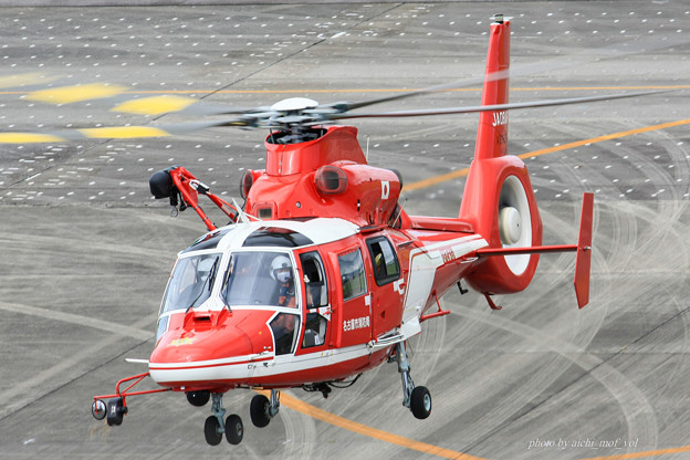 名古屋市消防航空隊 エアバスヘリコプターズ AS365N3 Dauphin2 JA08AR ひでよし IMG_6789-2