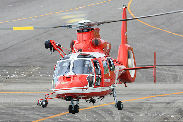 名古屋市消防航空隊 エアバスヘリコプターズ AS365N3 Dauphin2 JA08AR ひでよし IMG_6788-2