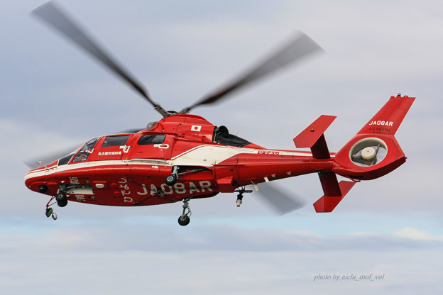 名古屋市消防航空隊 エアバスヘリコプターズ AS365N3 Dauphin2 JA08AR ひでよし IMG_6865-2