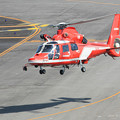 Photos: 名古屋市消防航空隊 エアバスヘリコプターズ AS365N3 Dauphin2 JA08AR ひでよし IMG_6909-2