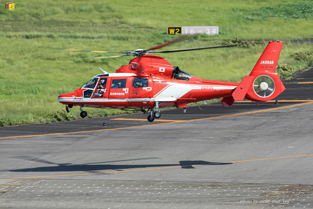 名古屋市消防航空隊 エアバスヘリコプターズ AS365N3 Dauphin2 JA08AR ひでよし IMG_6911-2