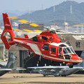 名古屋市消防航空隊 エアバスヘリコプターズ AS365N3 Dauphin2 JA08AR ひでよし IMG_7216-2