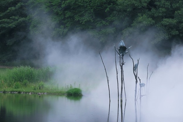 谷津霧と彫像