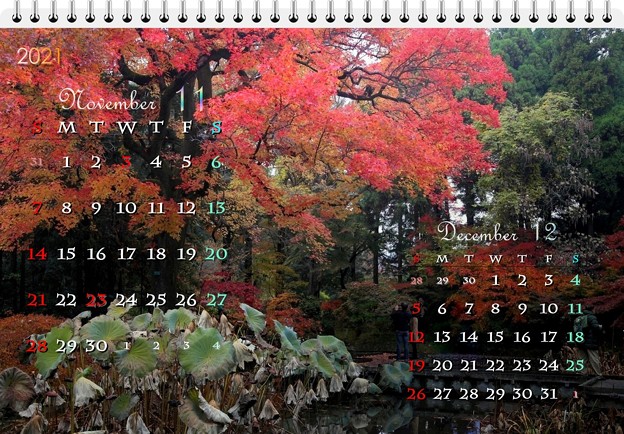 2021年11月紅葉カレンダー