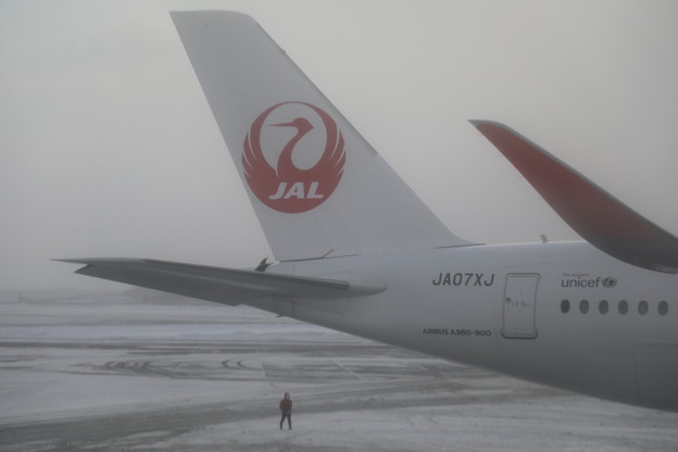日本の翼-7℃