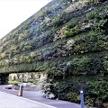 Photos: 新梅田シティの緑の壁 (1)