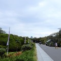 Photos: 大阪城公園 (1)
