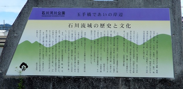 石川・玉手橋 (2)