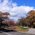 Photos: 大阪城公園 (2)