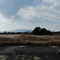 Photos: 平城宮趾公園のススキ (3)