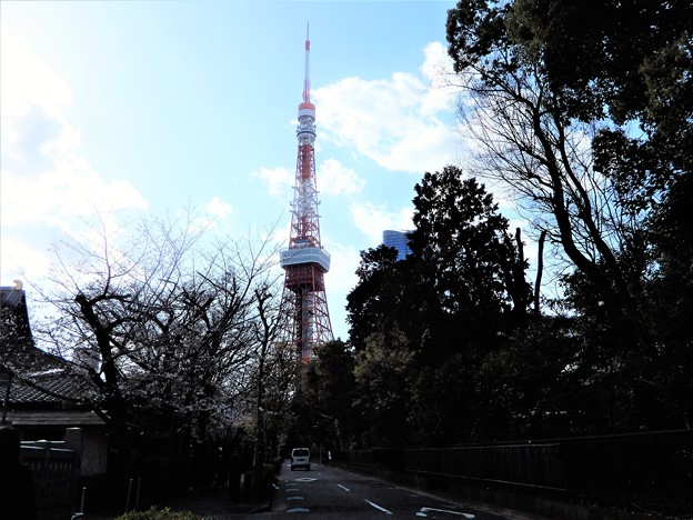 31東京タワー (1)