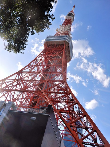 31東京タワー (2)