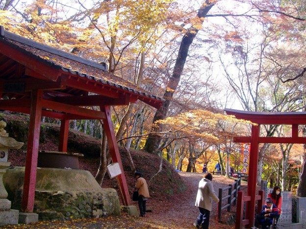 Photos: 稲荷山神社の紅葉