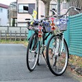 Photos: 珍種・私と家内の自転車