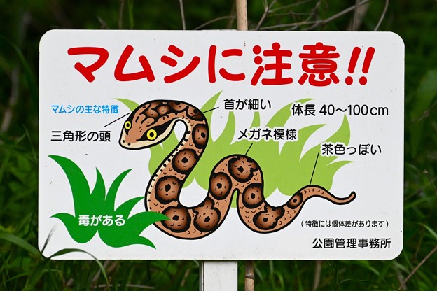 A公園にある看板