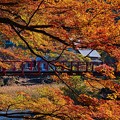 Photos: 赤い吊り橋