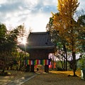 Photos: 川見薬師寺
