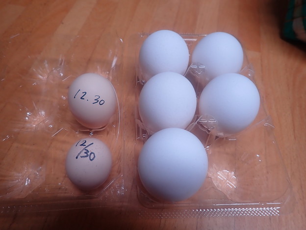 小さい卵 (2)