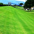 Photos: M-緑の芝生