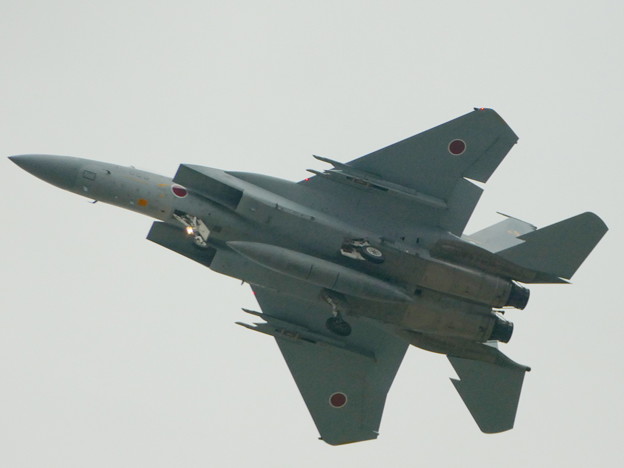 JASDF 航空自衛隊 新田原基地　F-15J