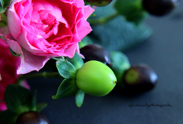 Roses-and-fruits