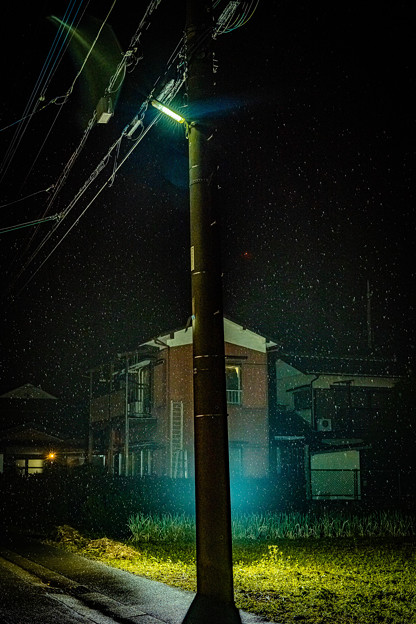 雨の街灯＠近所