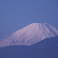 Photos: 2021.12.11　駅前　富士山
