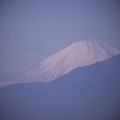 Photos: 2021.12.12　追分市民の森　霞む富士山