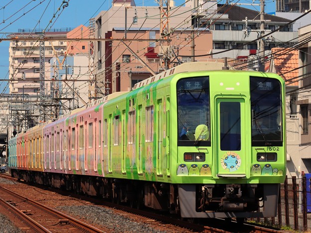 Photos: 南海電鉄×『すみっコぐらし』高野線ラッピング