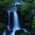 Photos: 深緑の滝
