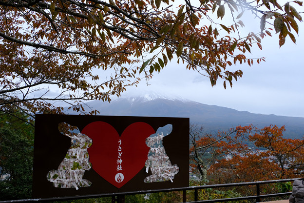うさぎみくじと富士山