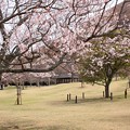 Photos: 香る春