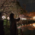 Photos: 夜桜、撮る人