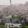 Photos: 【茨城急行バス】 3081号車