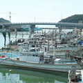Photos: 港の風景、イカ釣り船（５）