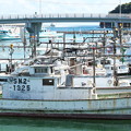 Photos: 港の風景、天神さん前のイカ釣り船（９）