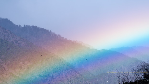 虹の中へ