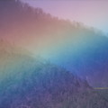 Photos: 虹に飛ぶ